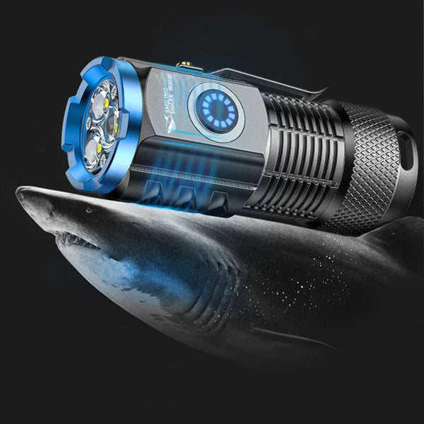 Multi-Functional Mini Flashlight